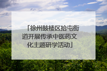 徐州鼓楼区拾屯街道开展传承中医药文化主题研学活动
